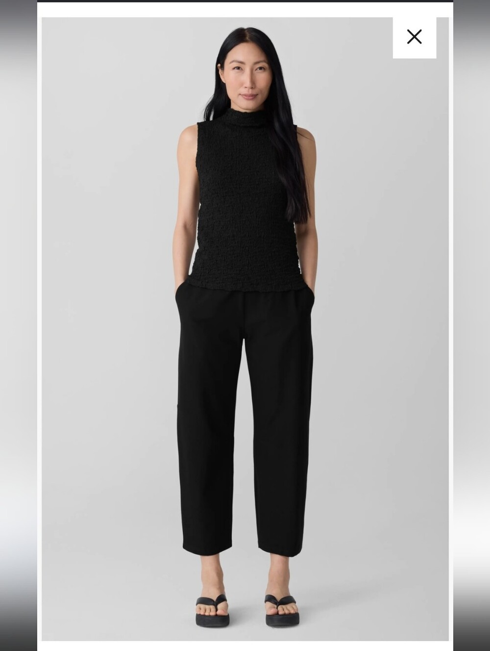 Eileen Fisher Ankle Pant With Pockets Sz S Black (#26)